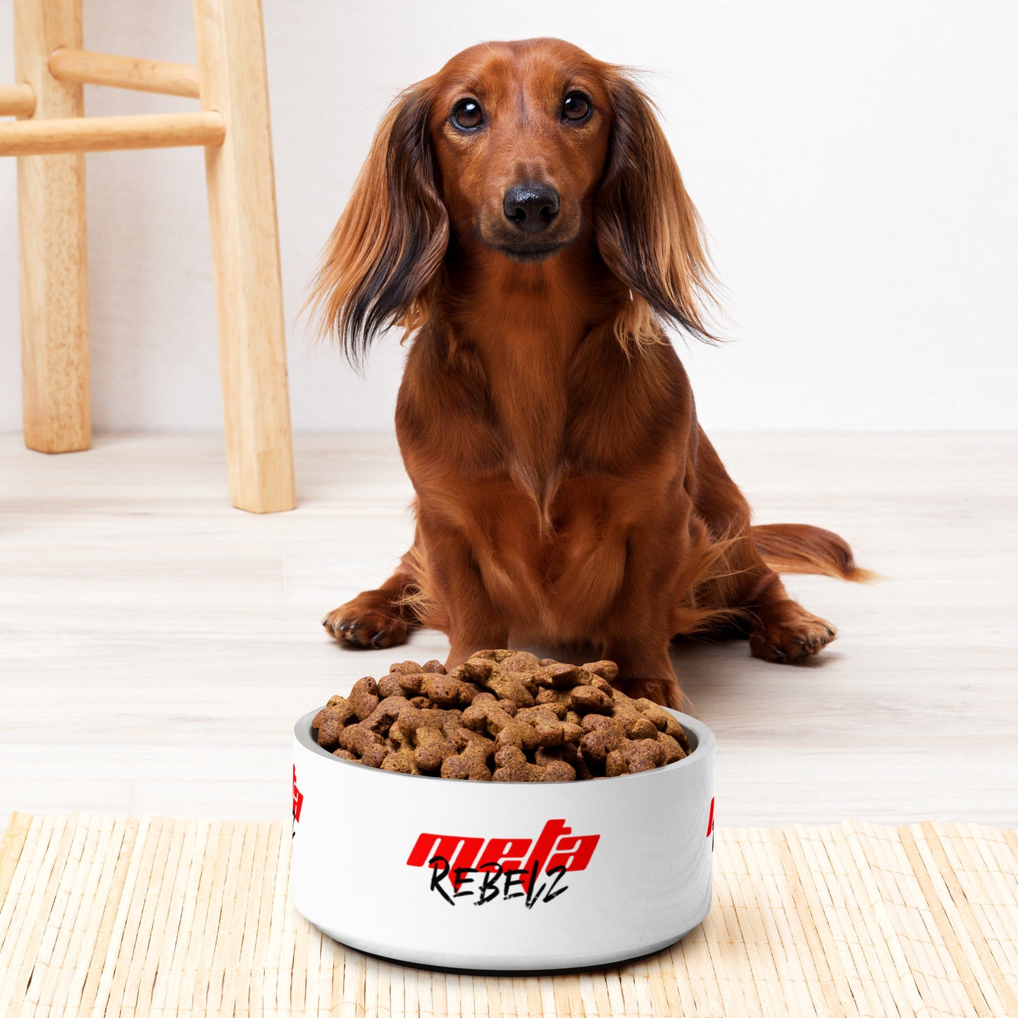 Rebelz Pet bowl